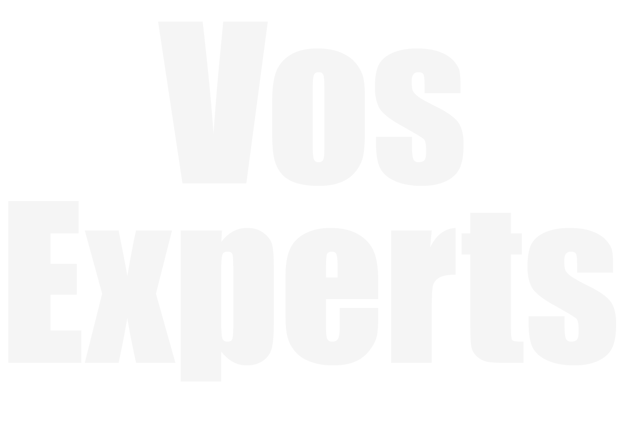 VosExperts-1659530702.png